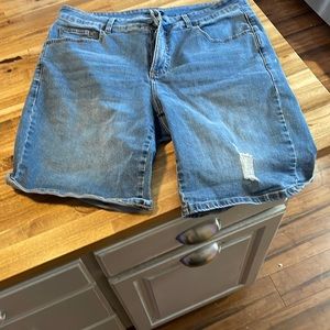 Universal Standard Bae denim shorts, size 14